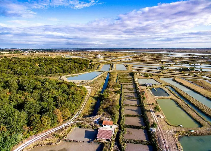 Charming With Pool Near Royan & Beaches Сasa de vacaciones Breuillet (Charente-Maritime)